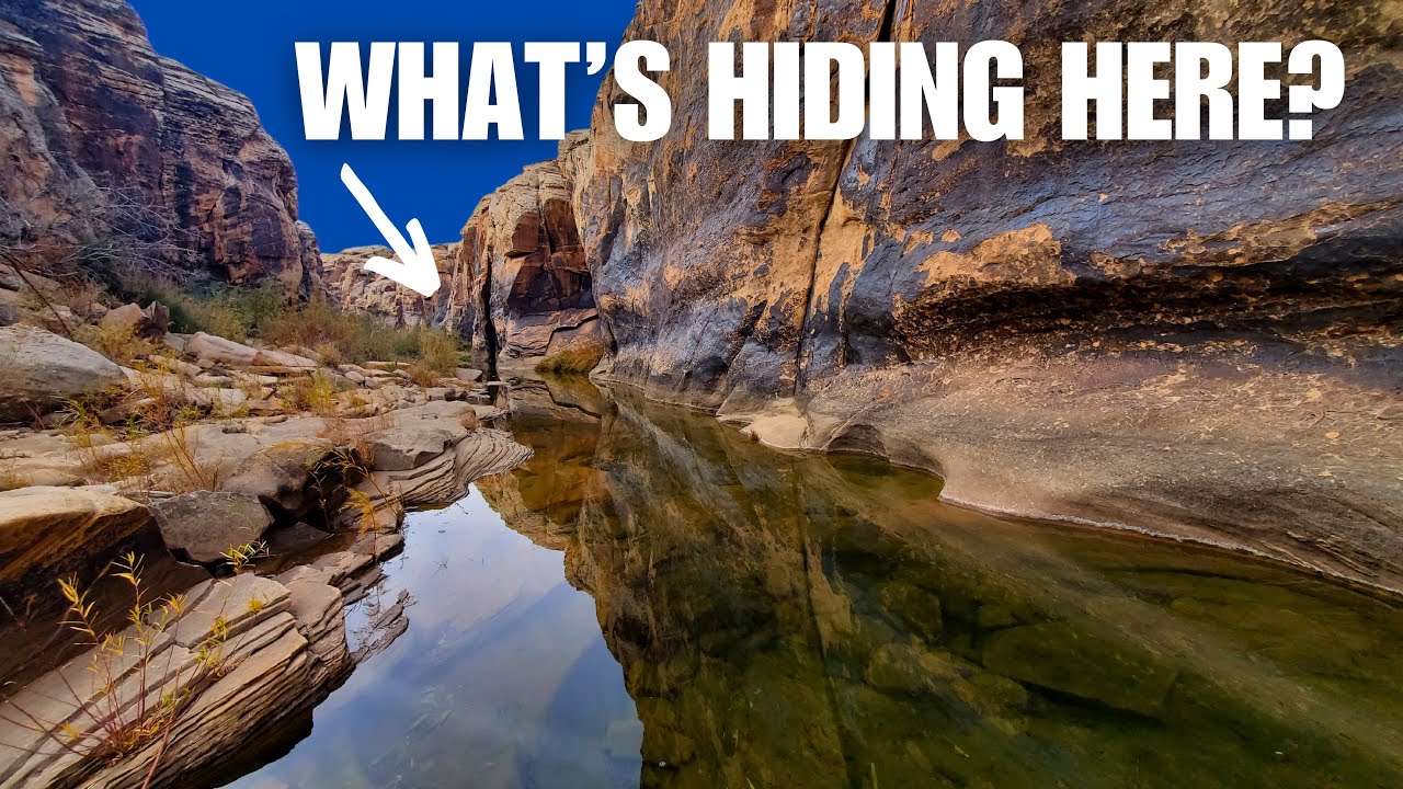 I Found Hidden Ancient Steps in a Famous Petroglyph Site