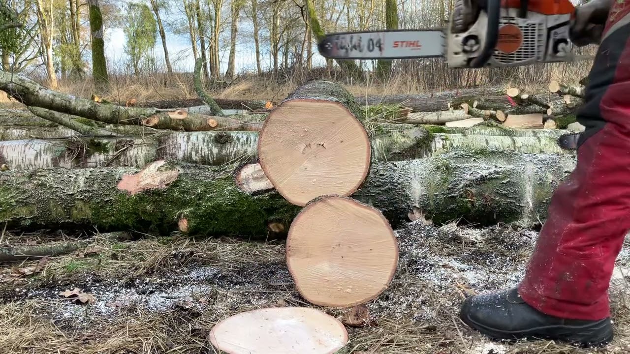 Stihl MS 241 C-M