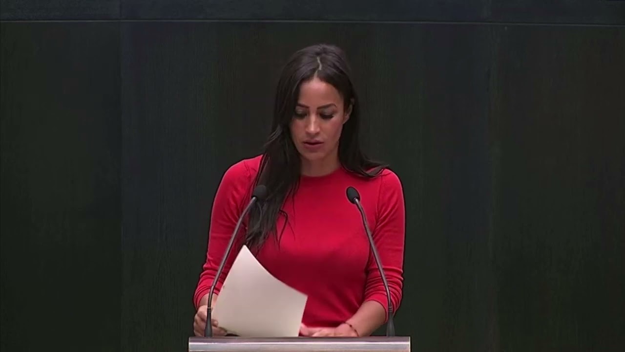 Begoña Villacís. Intervención sobre la regulación de la gestación subrogada