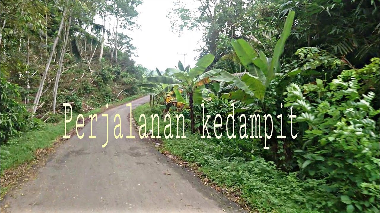 Perjalanan dari desa Pujiharjo ke Dampit part 1