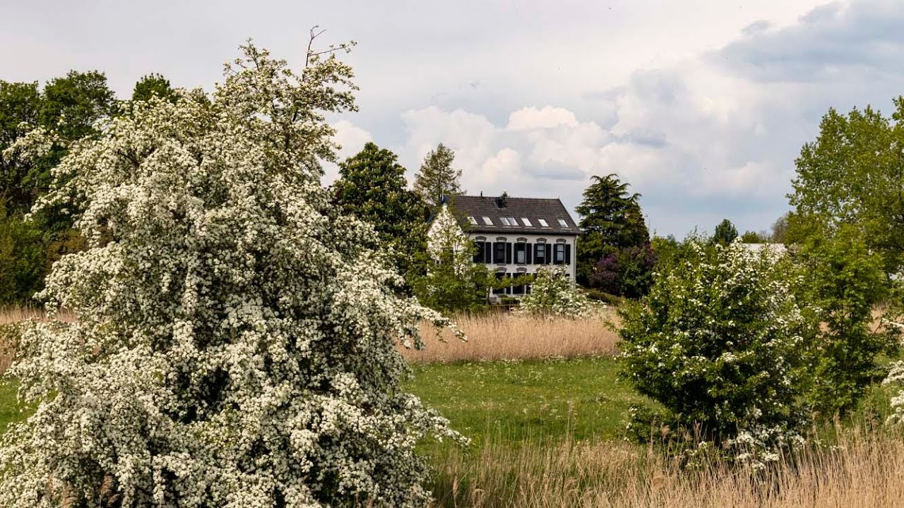 Wandelen bij Asperen