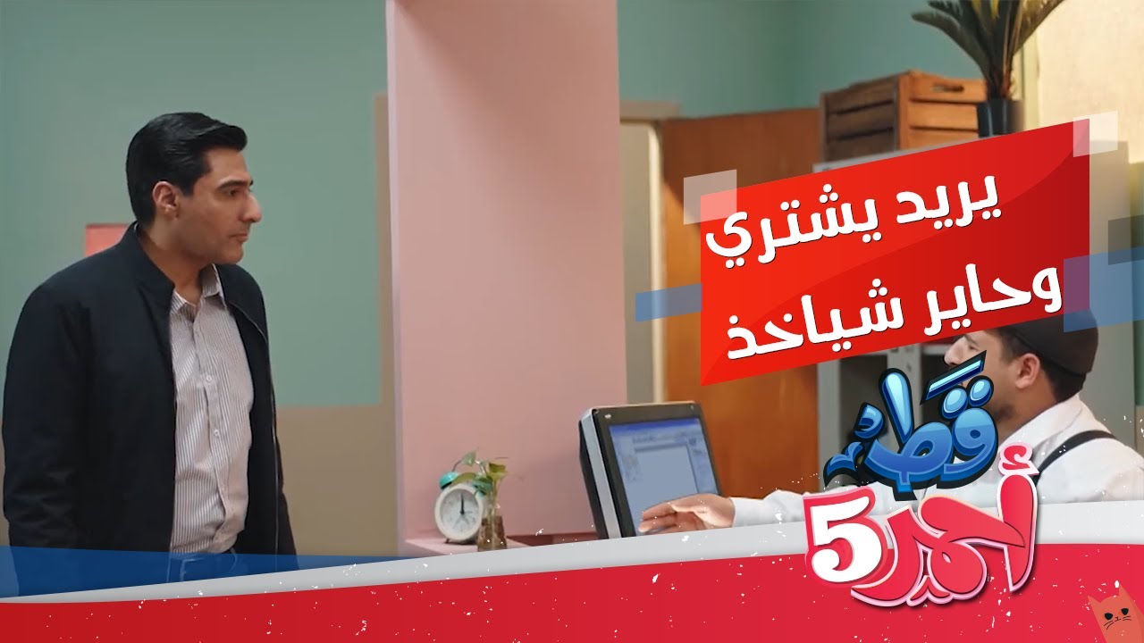 الفرق بين انواع السيارات l قط احمر5