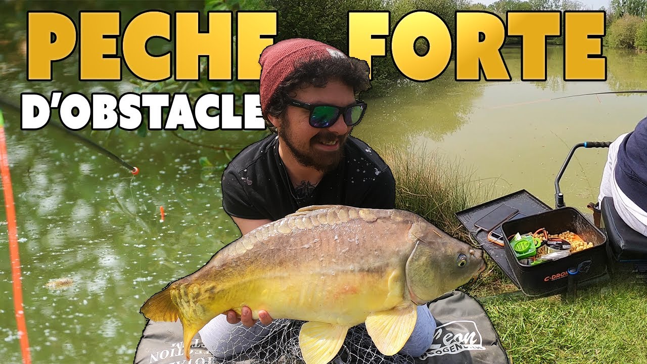 PECHE DE LA CARPE dans LES OBSTACLES - Ça Rigole Pas 😎💪