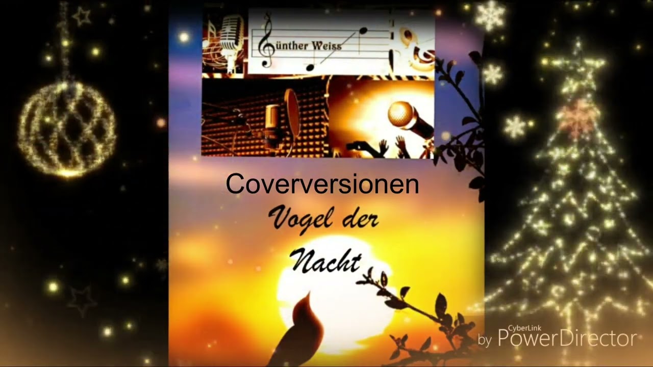 Vogel der Nacht  (Coverversion) Interpret: Günther Weiss 