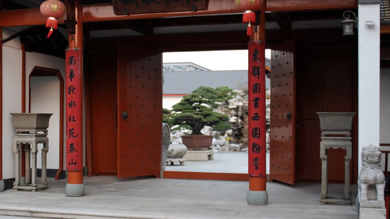 Chinese Penjing garden 