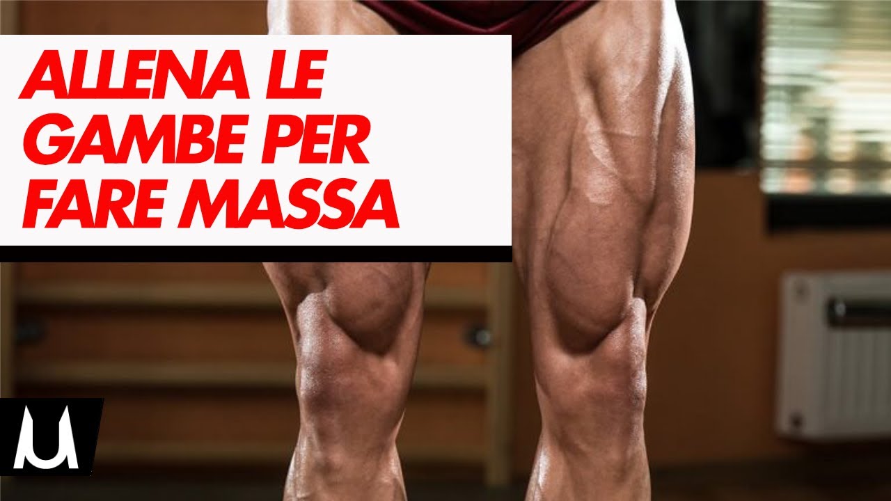 Allenare le gambe per mettere massa su tutto il corpo