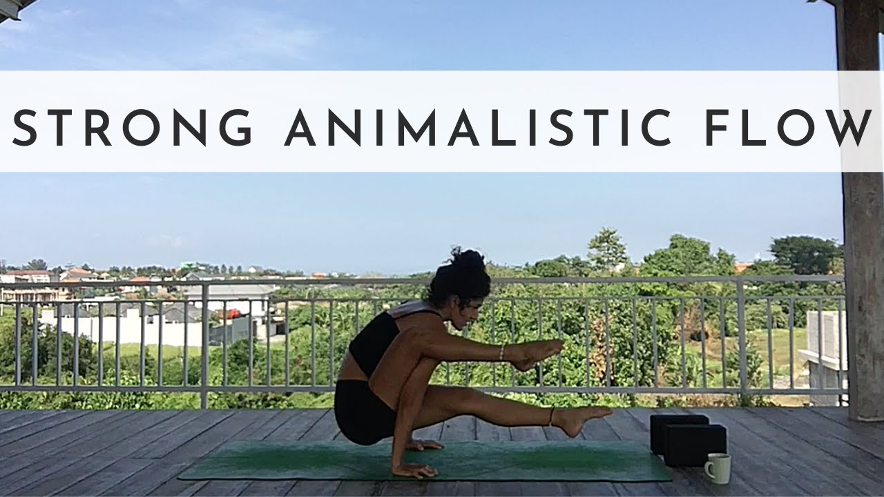 Strong Flow | Elephant Trunk Peak Pose | Yoga With Jess