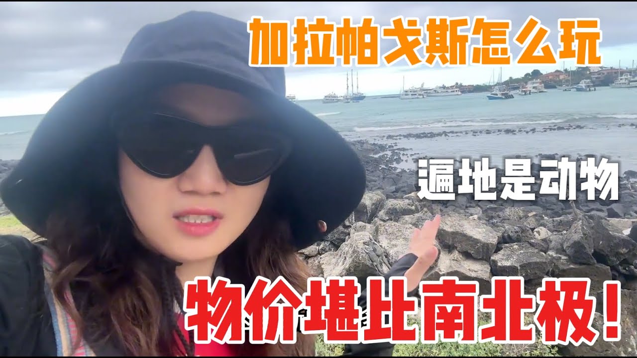 物種最豐富的島嶼、達爾文進化論靈感之地！物價堪比南北極的加拉帕戈斯有多驚喜？ | 茉莉環球旅行日記