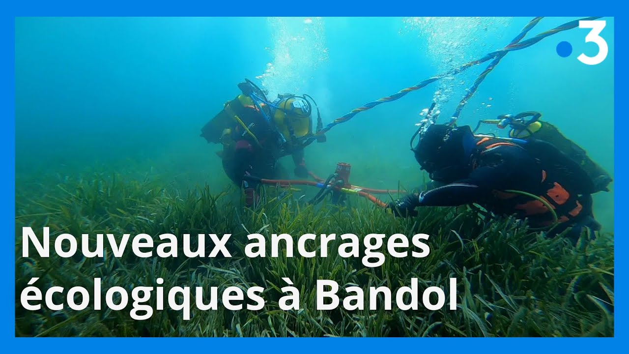 Bandol : de nouvelles bouées d'ancrages plus écologiques pour préserver la posidonie