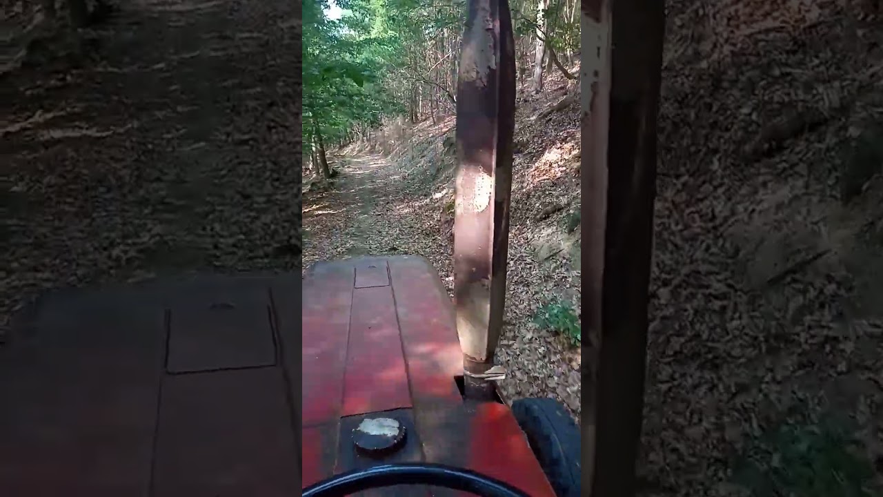 IHC 383 bergab im Wald