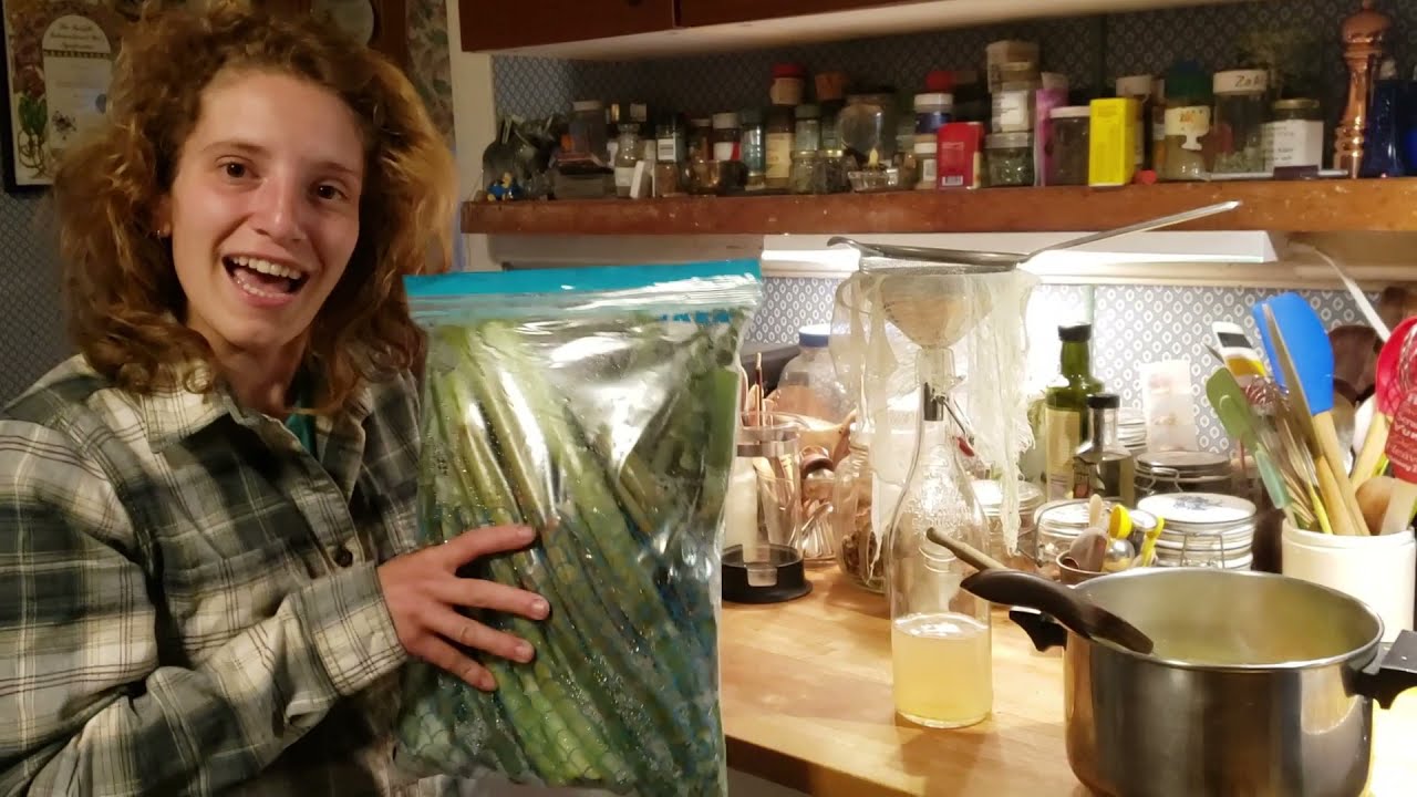 Foraging Japanese Knotweed