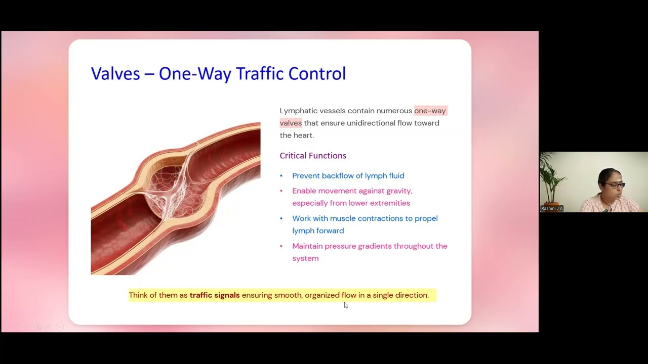 Day 16 (Part 2) - “Yoga Anatomy & Physiology Basics | Foundation Course