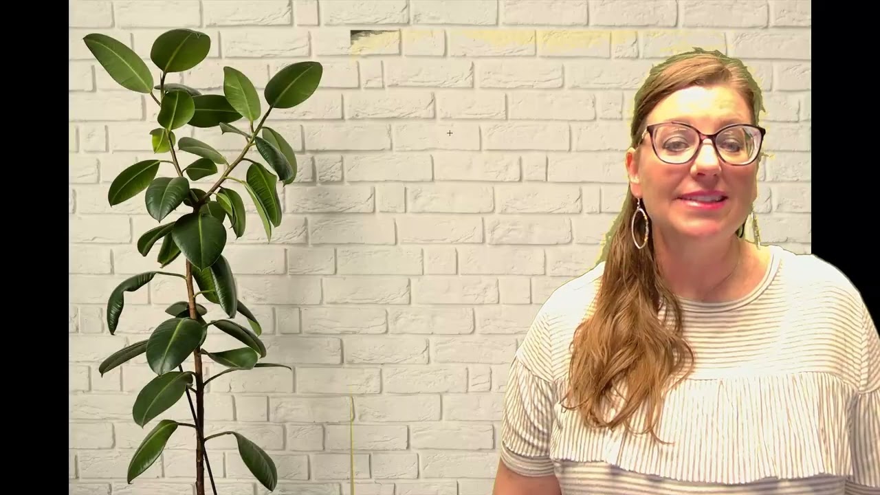 7060 Module 8 Introduction Video