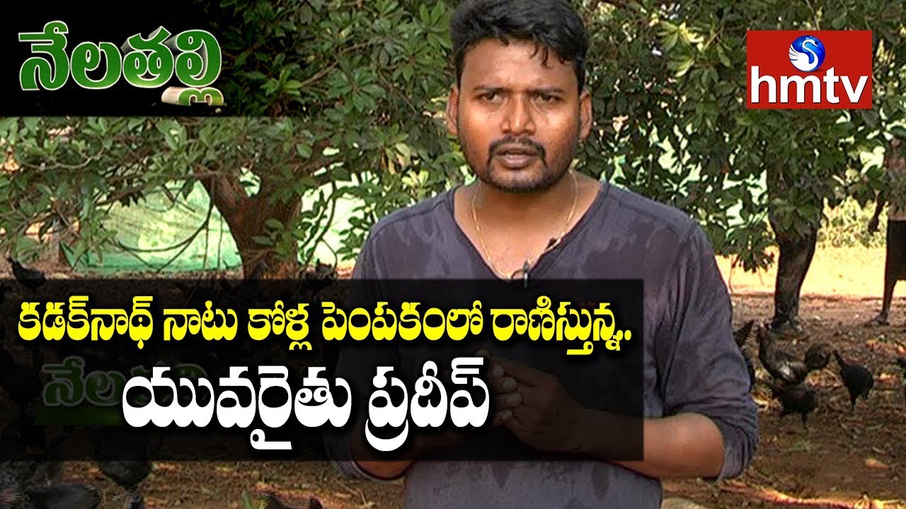 Kadaknath Poultry Farming Success Story | Nelatalli | hmtv