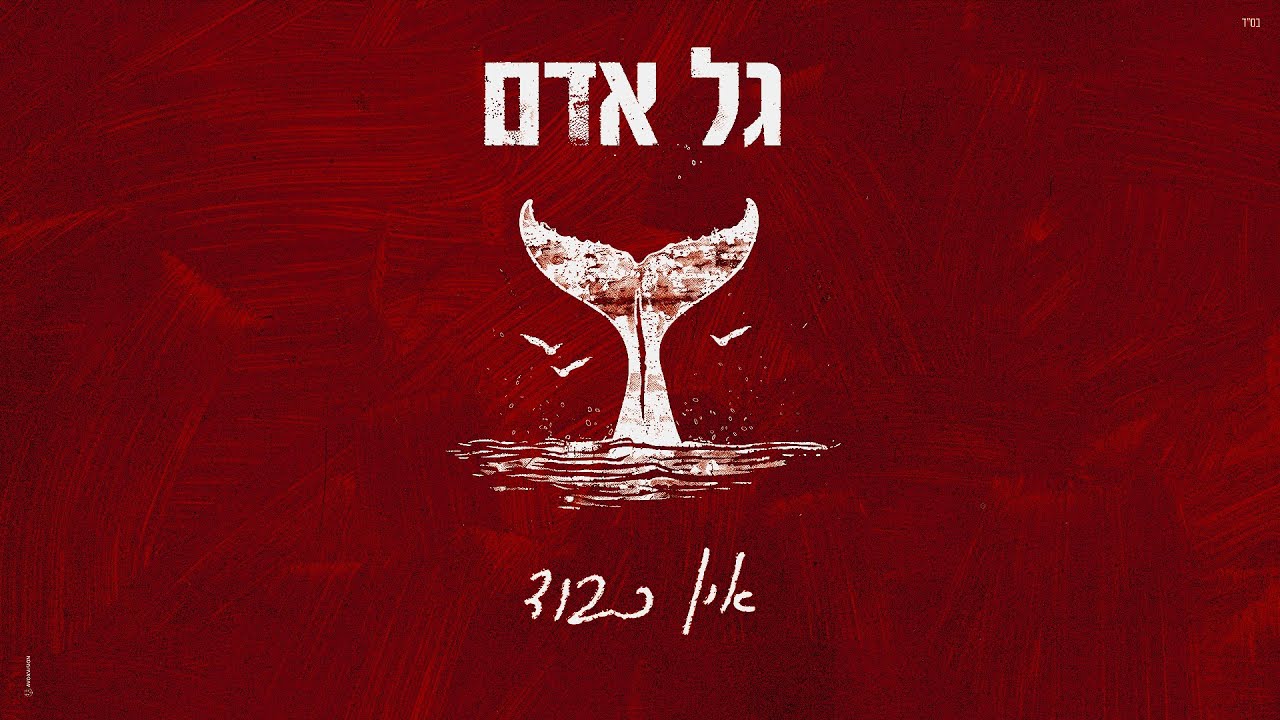 גל אדם - אין כבוד (Prod.By Tamir Zur)