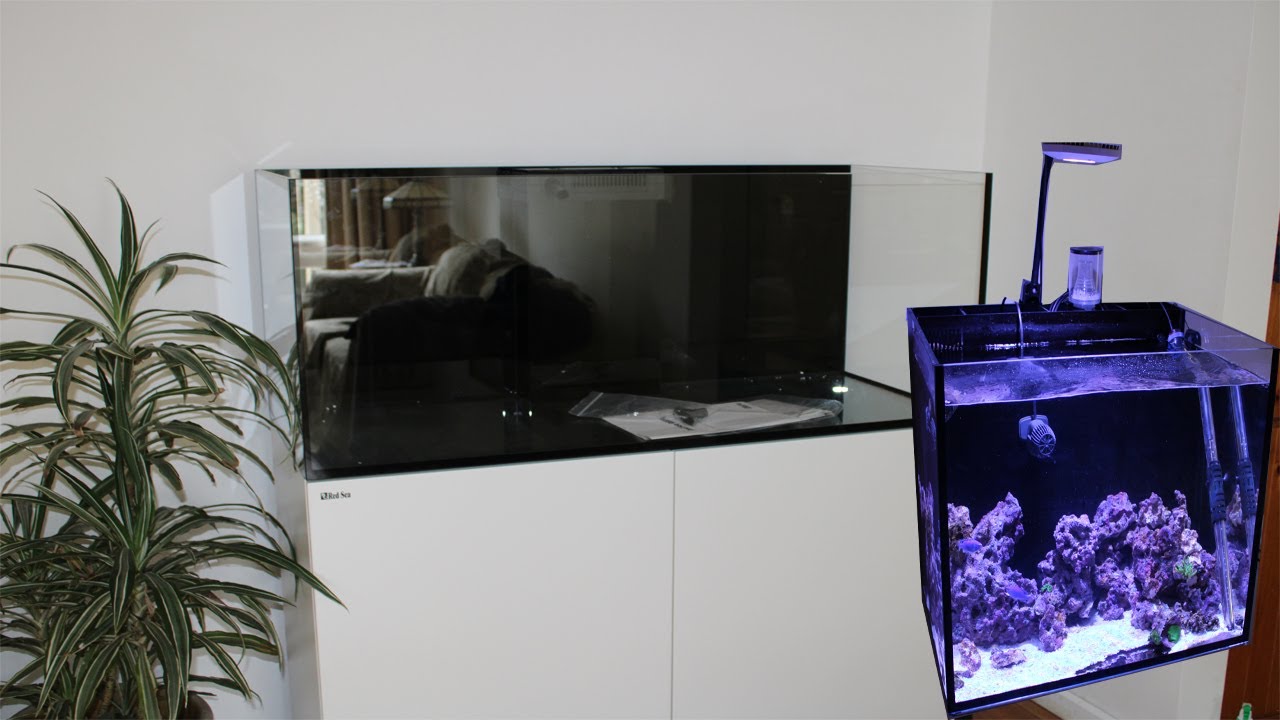 New Reef Tank Update - Red Sea Reefer 350