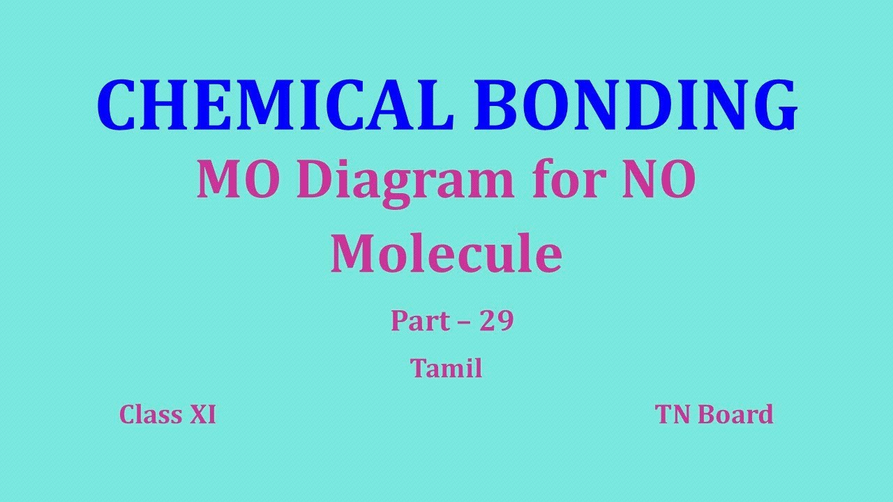 Chemical Bonding/ Class 11/ Part 29 / MO Diagram for NO molecule/ TN Board #tamil #PSZ Chemistry
