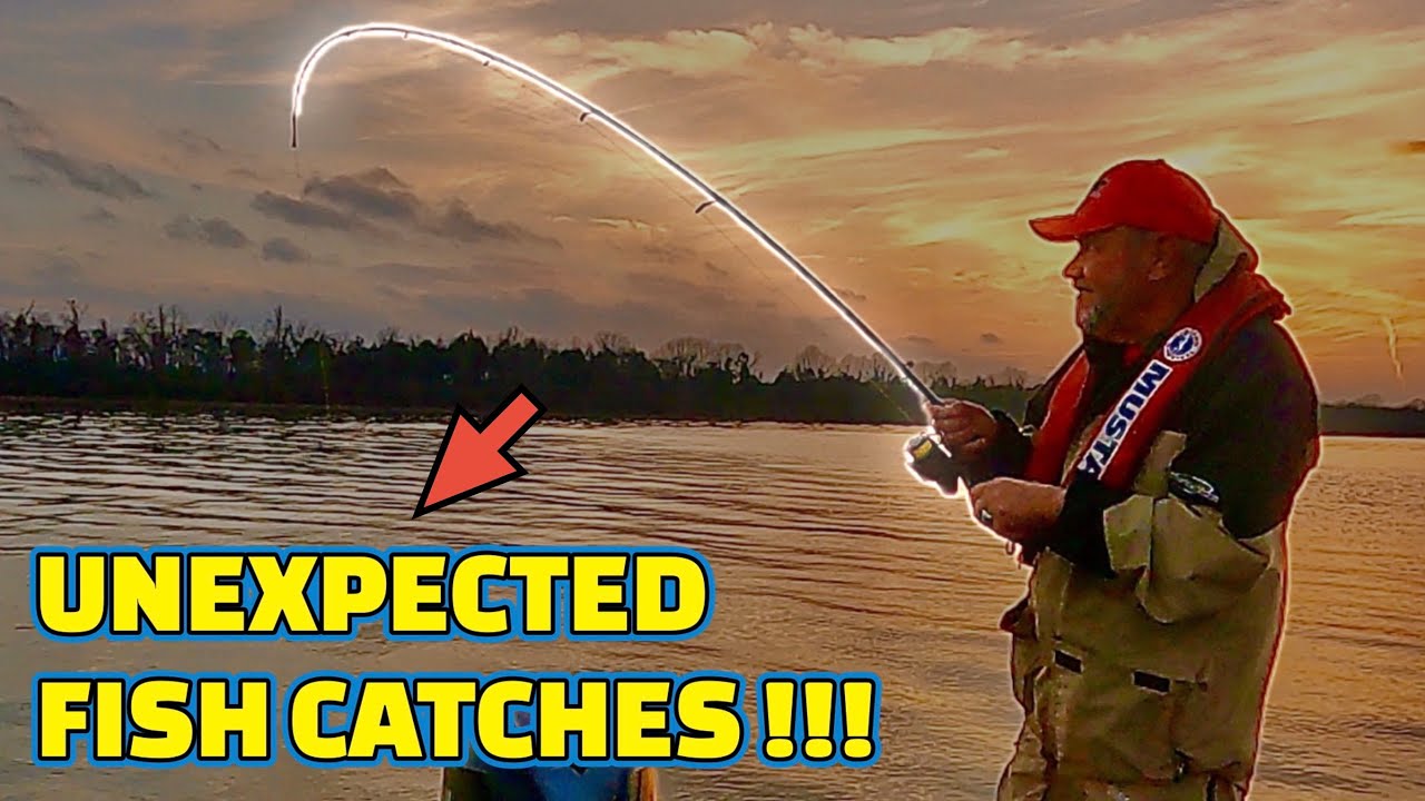 Catching MULTI FISH SPECIES - FISHING the TENNESSEE RIVER !!! (DINNER)