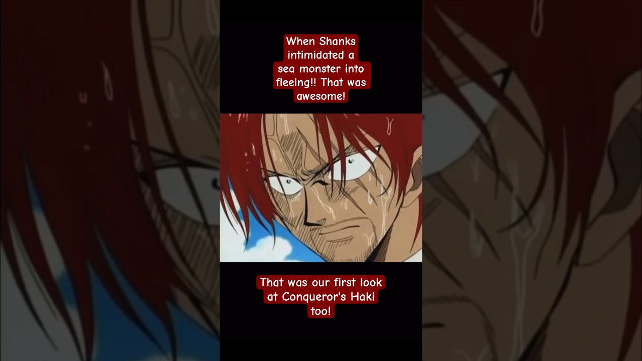 SHANKS TELLS SEA MONSTER TO PISS OFF!! | One Piece Highlights