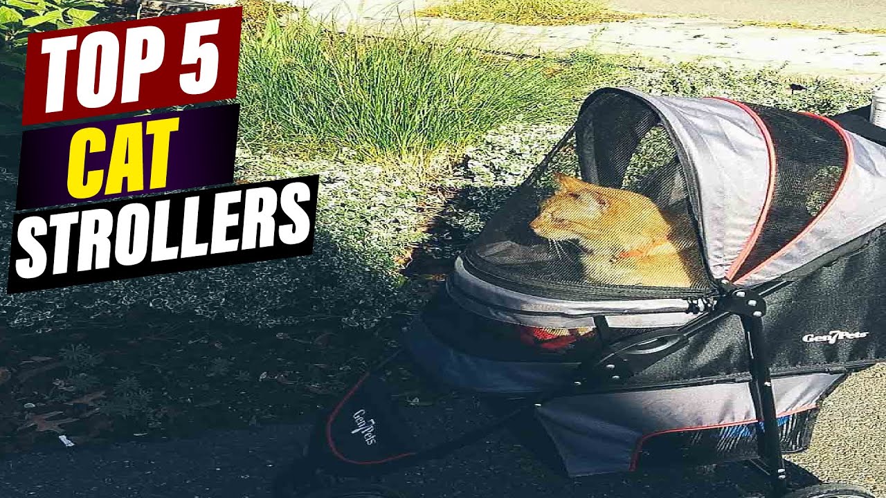 Best Cat Strollers: A Guide for Feline Adventures