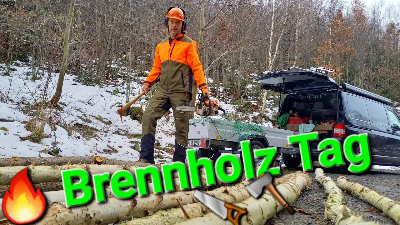 Wieder Raus in den Wald 🌲 Brennholz selber machen im Winter 2023/24 Teil 1 Fällen Sägen Spalten 🪚🪓