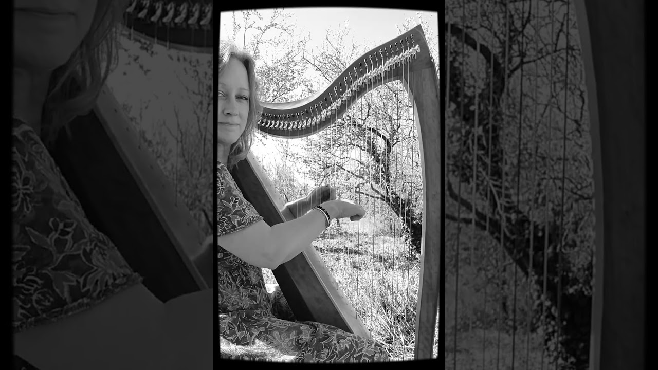 Jour 30 – Voyage sonore à la harpe | #7minutesoflove | d'après Charaxès/Papillons/A.  Colin