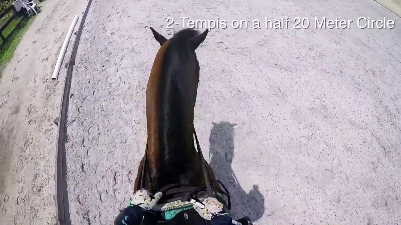 Helmet Cam | Schooling Grand Prix Dressage Movements