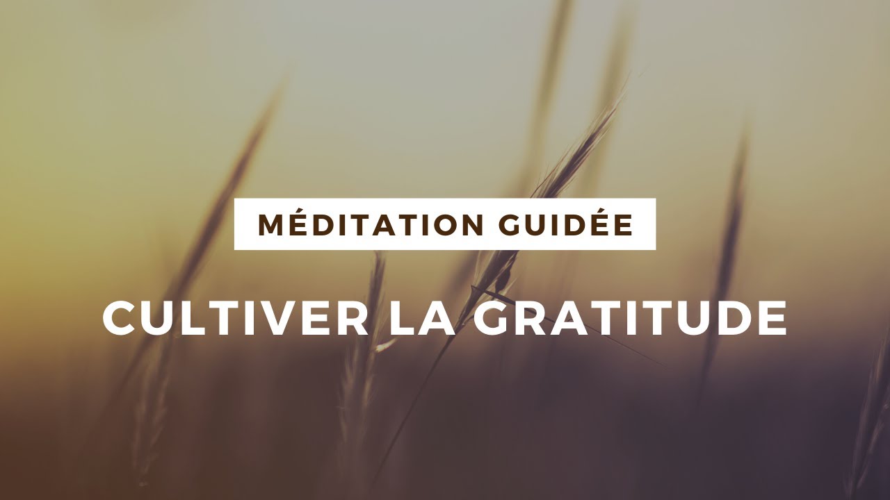 Méditation Guidée | Cultiver la gratitude | Shaykh Hamdi Ben Aissa