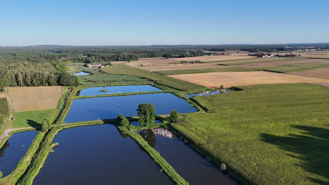 Region Ostrzeszów, (okolice Tokarzewa i Przytocznicy, gmina Doruchów).