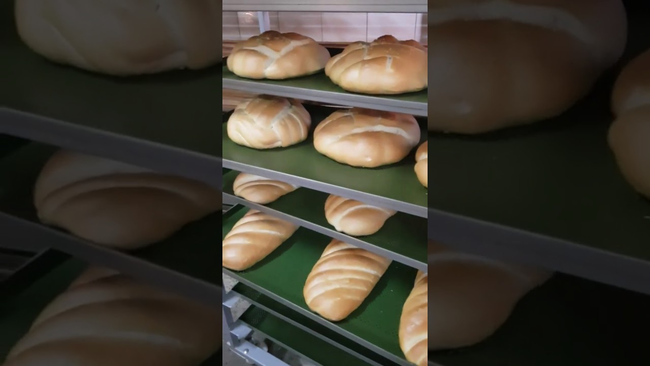Pekarska peć za hleb