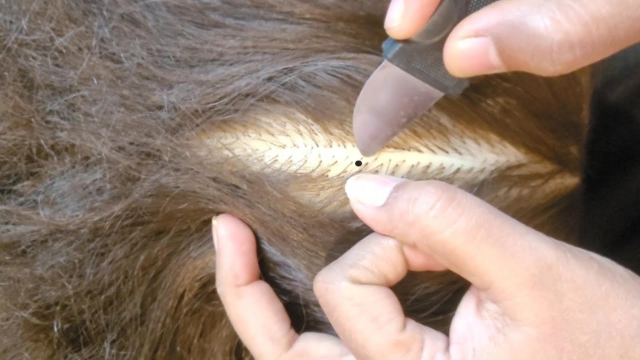 Satisfying ASMR Scalp Check & Treatment, Massage & Hair Parting ✨