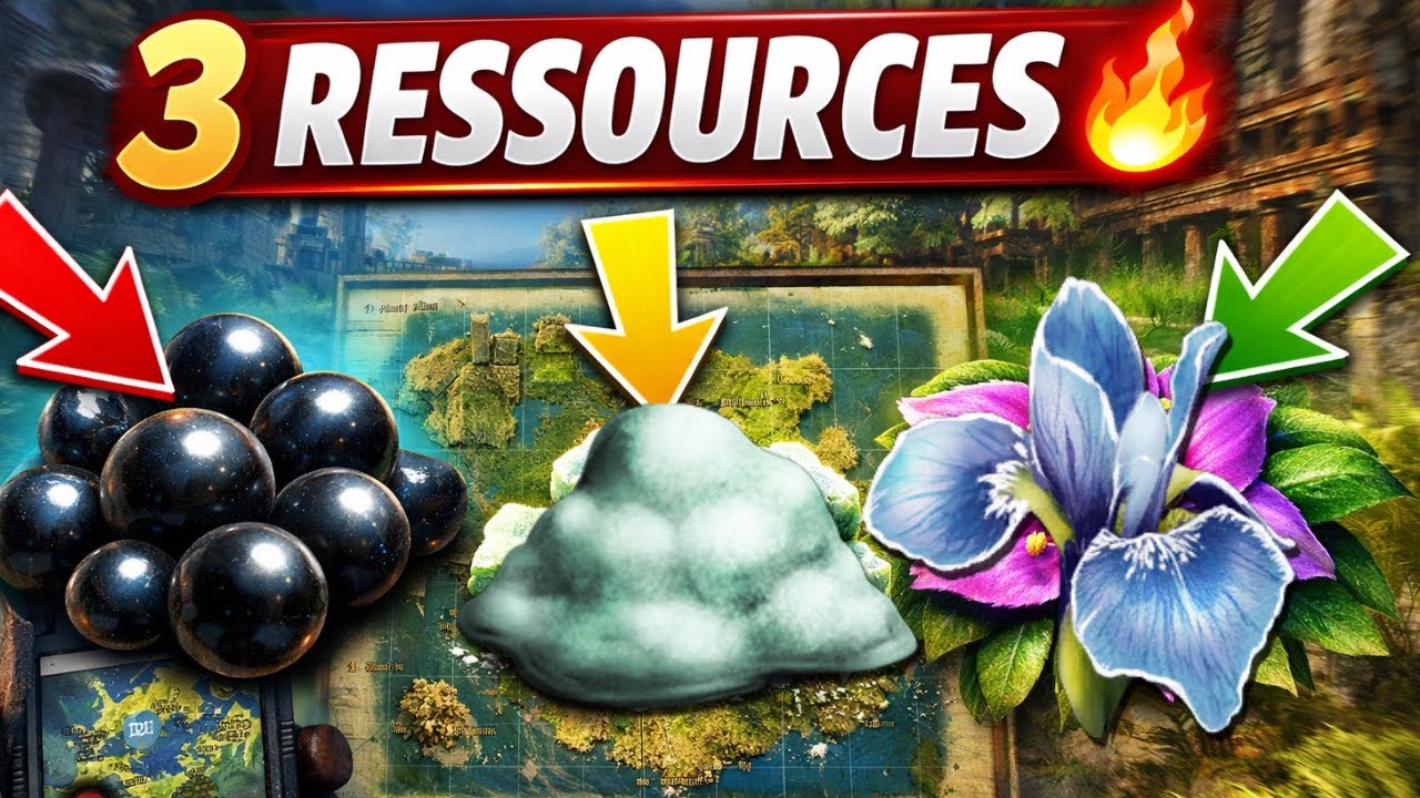 ARK Lost Colony : 3 spots INDISPENSABLES (Perle noire, Polymère, Fleur rare)