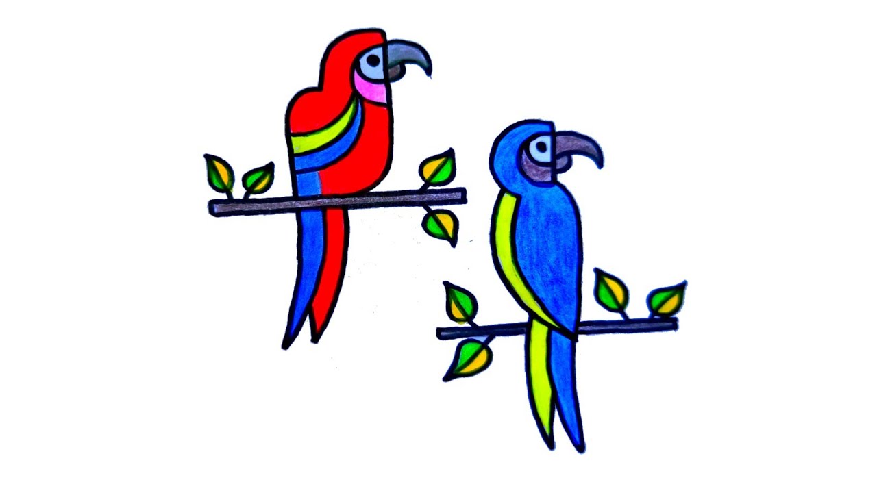 How to draw a parrot