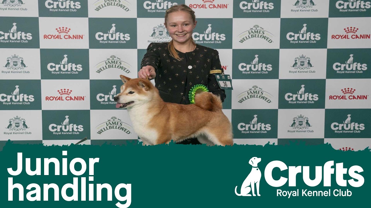 Joe Cartledge Memorial International Junior Handling Competition - Part 2 | Crufts 2026