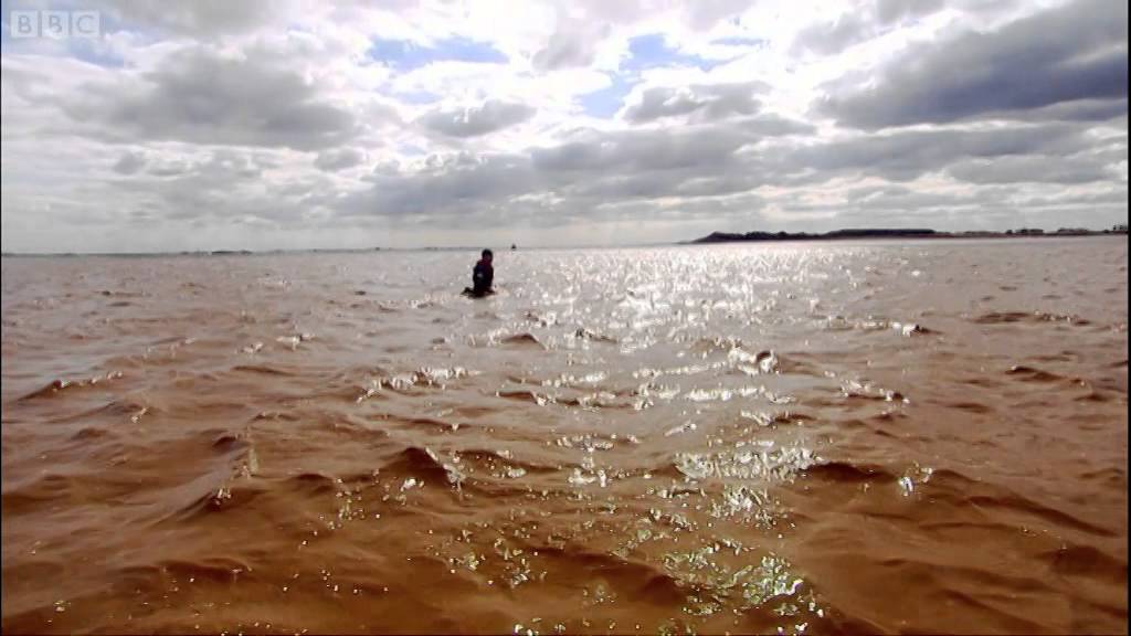 Alfa Romeo 159: Racing a Man Across the Humber River (HQ) | Top Gear