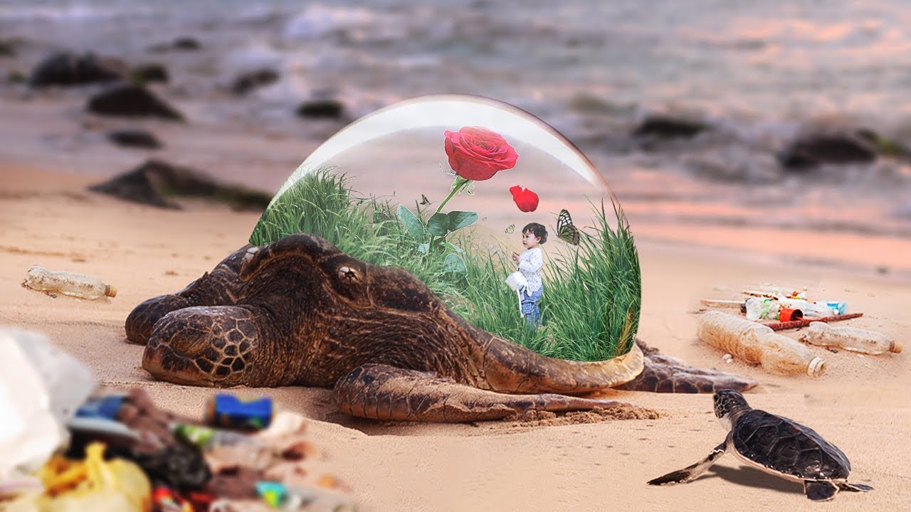 Turtle save the world - photoshop fantasy manipulation tutorial, cara edit foto fantasi di photoshop
