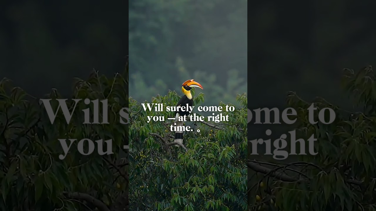 Trust Allah’s Timing | Allah’s Plan Is Always Perfect | Islamic Motivation Short 