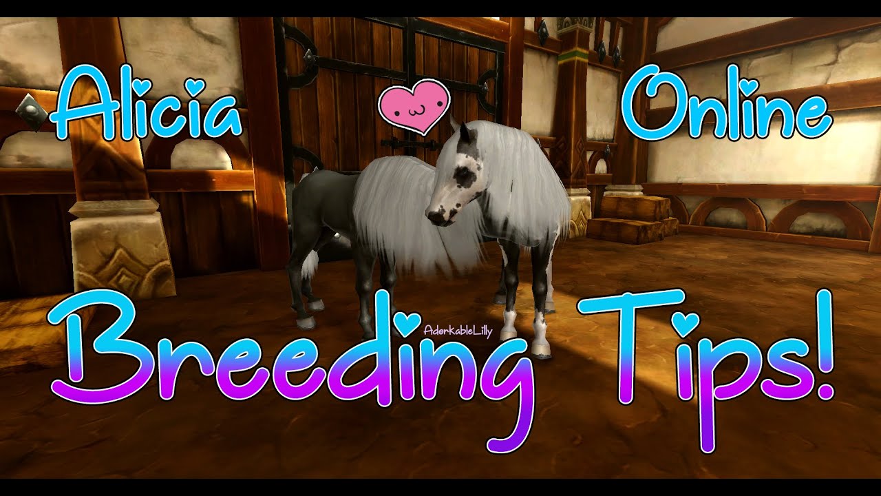 Alicia Online Breeding Tips and Advice