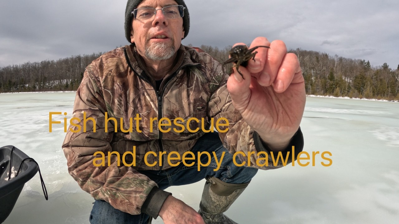 Ice hut rescue and creepy crawlers.