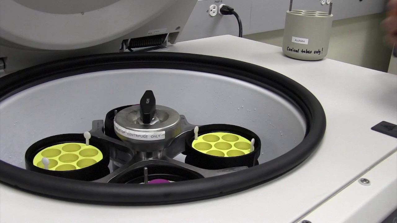 Allegra Centrifuge Training
