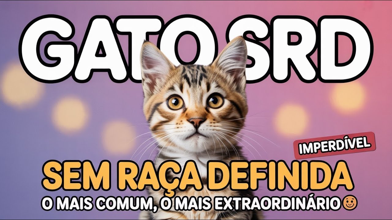 Gato SRD: Tudo Sobre o Gato Sem Raça Definida (Guia Completo)