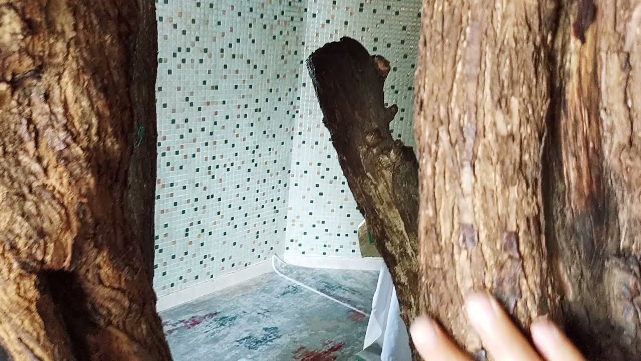 هنا _حدثت معجزة إلهية_ رهيبة في مقام (سيدنا الخضر )