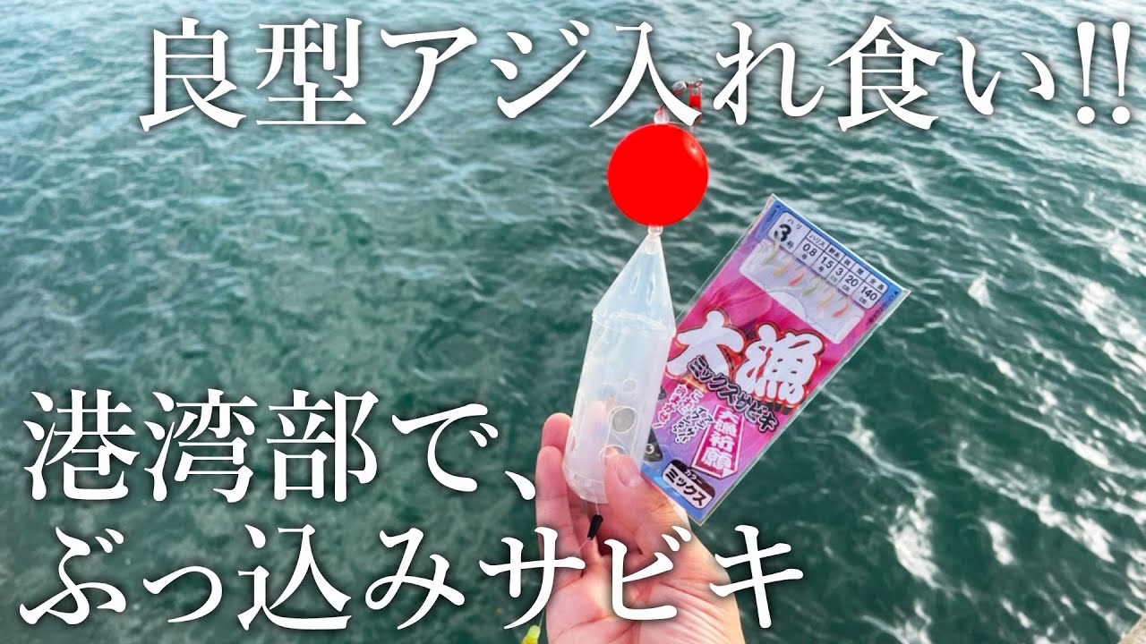 【良型アジが入れ食い！】ぶっ込みサビキの港湾アジ釣り仕様を紹介します