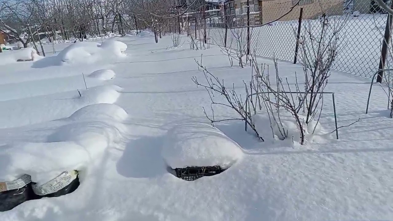 САД И ОГОРОД В ФЕВРАЛЕ  ЧАСТЬ 3.