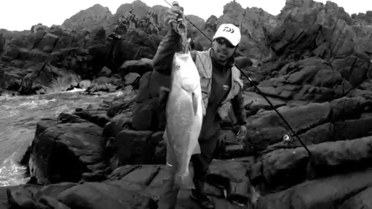 Pesca de corvina DUO Rough Trail Blazin por SpinRock Chile