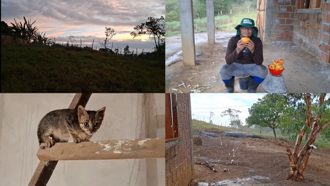 LIMPANDO O MATO AO REDOR DA CASA E MUITA FATURA AQUI NO SÍTIO 
