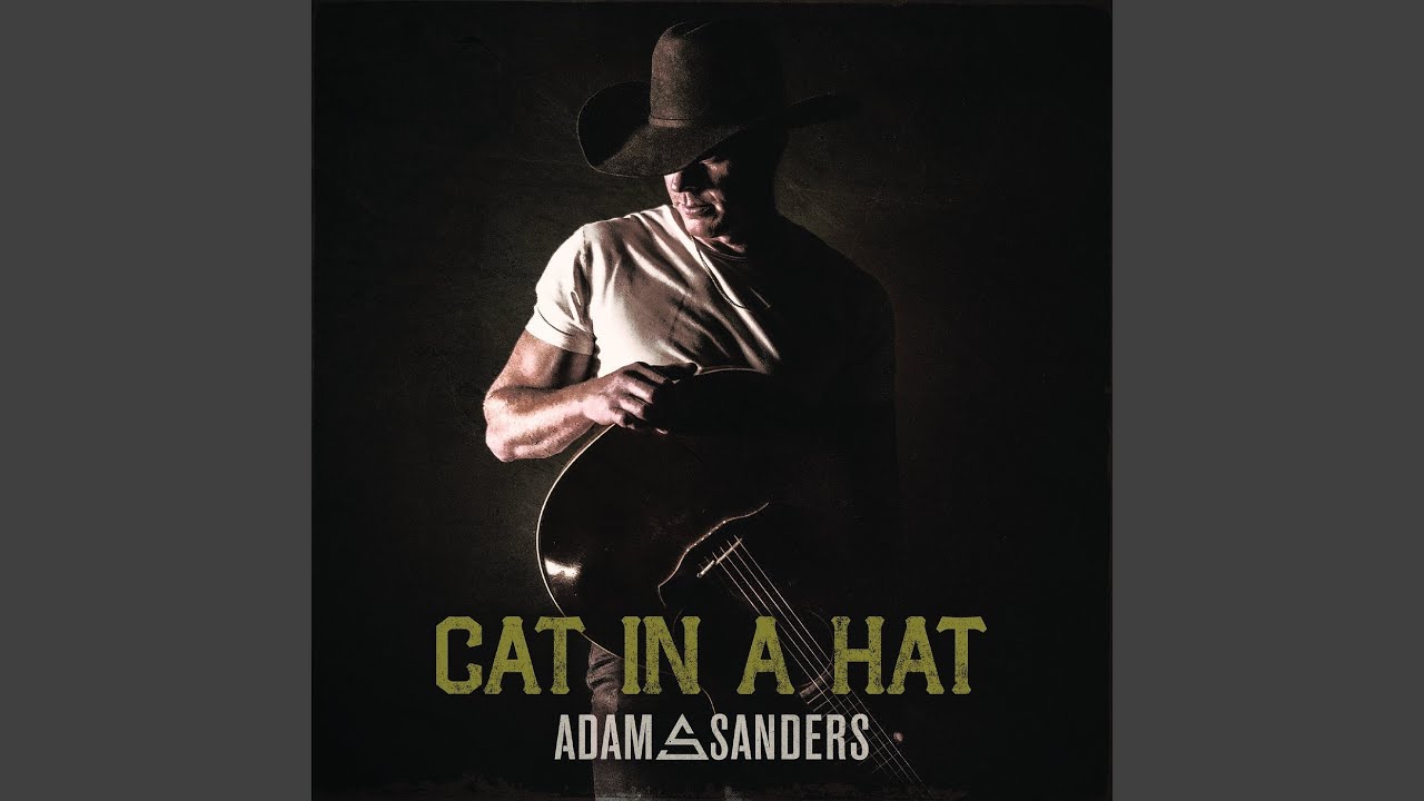 Cat in a Hat