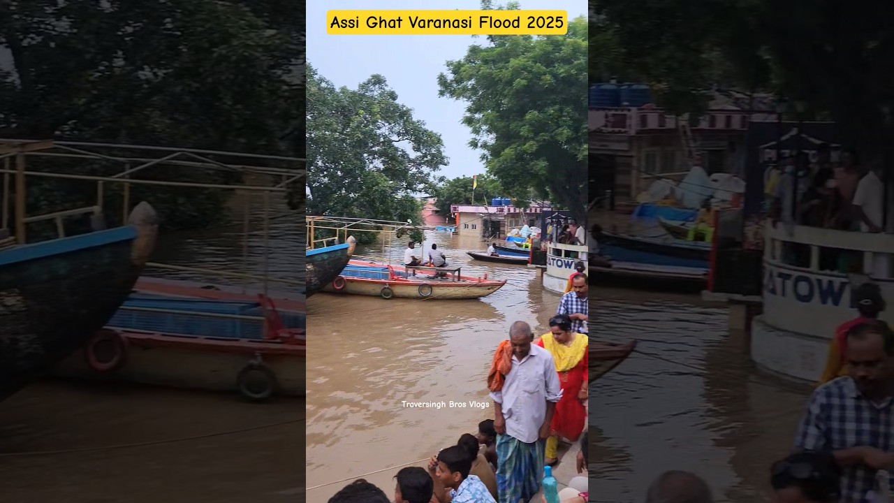 assi ghat varanasi flood 2025 | flood in varanasi 2025 | varanasi flood | banaras flood 2025 #shorts