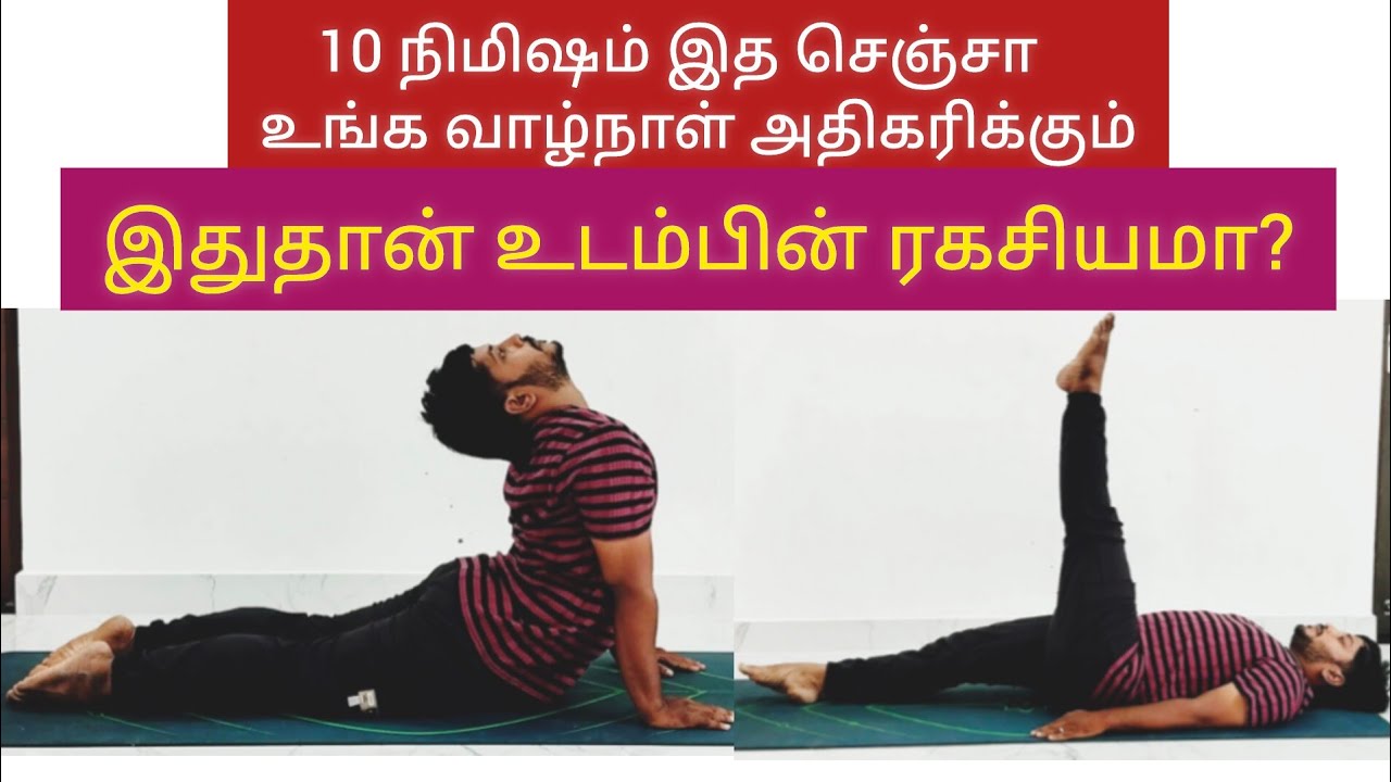 Basic yoga for beginners in Tamil #yoga #yogaforbeginners #healthy #yogapractice #yogapose #யோகா