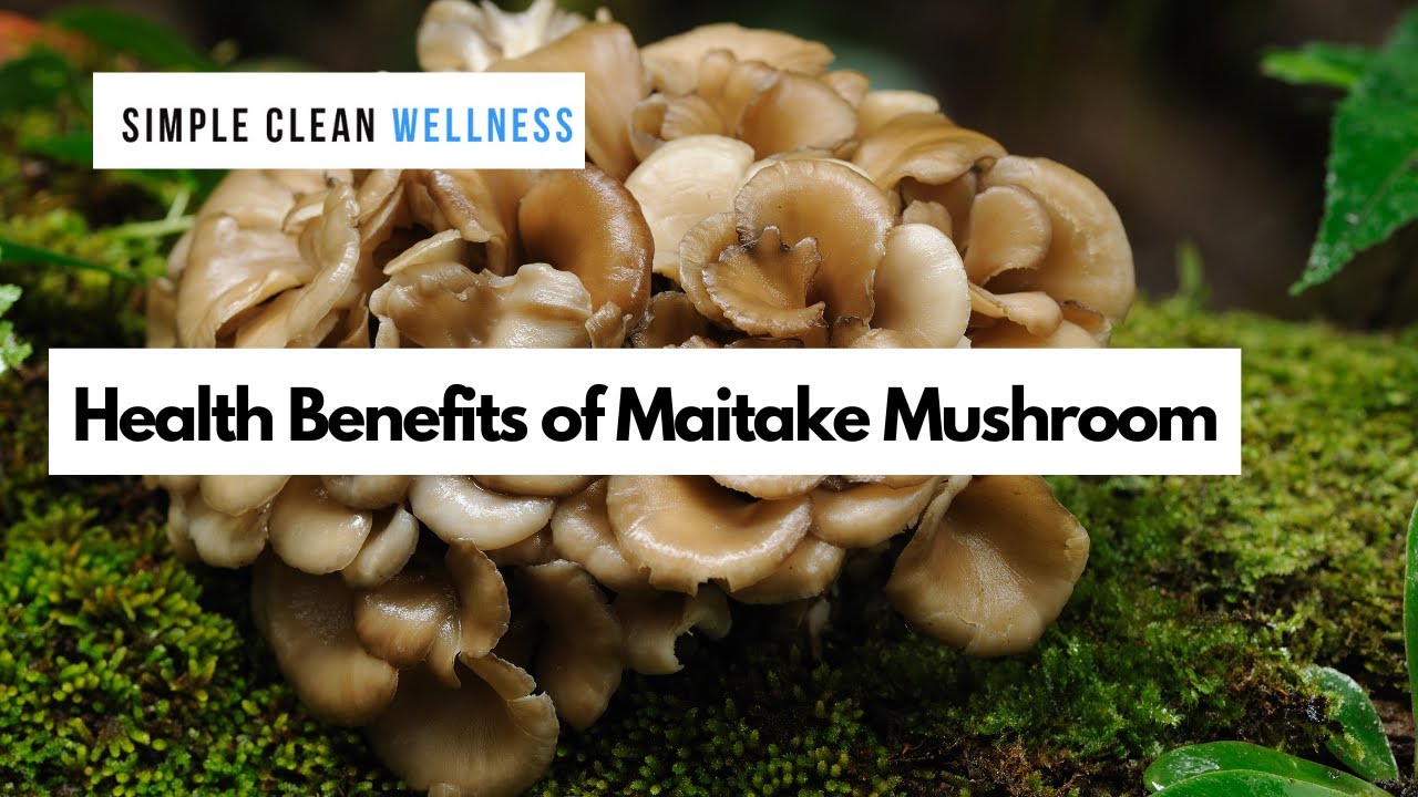 Health Benefits of Maitake Mushroom